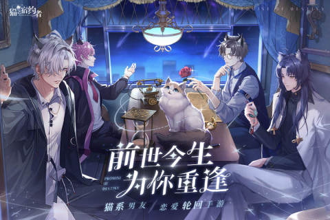 猫之宿约者(九游版)截图